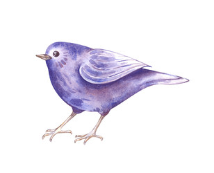 Similar image 22365907