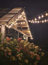 Similar image 22359313