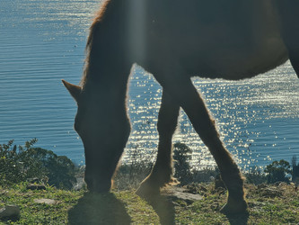 Similar image 22359531