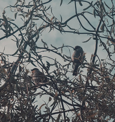 Similar image 22359532