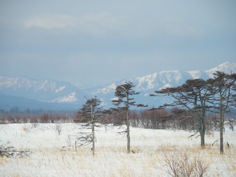 Similar image 22365985