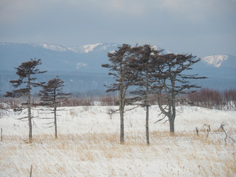 Similar image 22365986