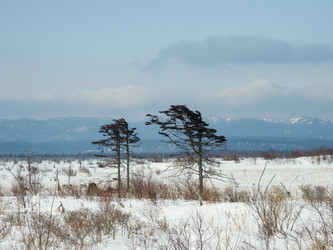 Similar image 22365987