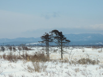 Similar image 22365988