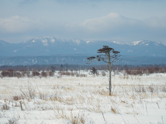 Similar image 22365989