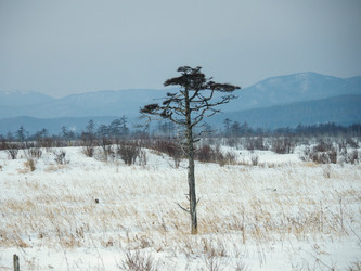 Similar image 22365990