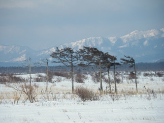 Similar image 22365996