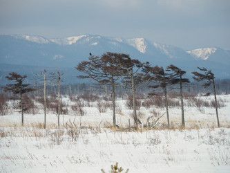 Similar image 22365997