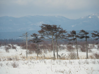 Similar image 22365998