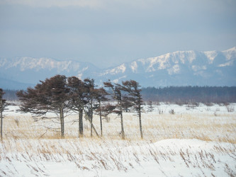 Similar image 22365999