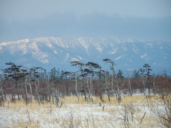 Similar image 22366001