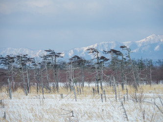 Similar image 22366002