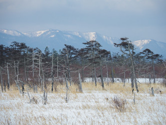 Similar image 22366003