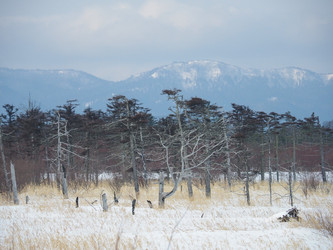 Similar image 22366004