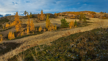 Similar image 22362608