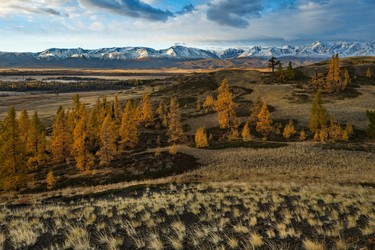 Similar image 22362609