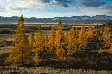 Similar image 22362610