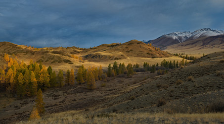 Similar image 22362624