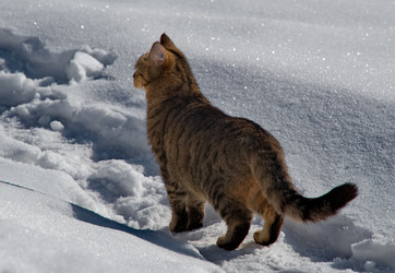 Similar image 22362651