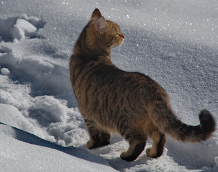 Similar image 22362652