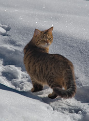 Similar image 22362653