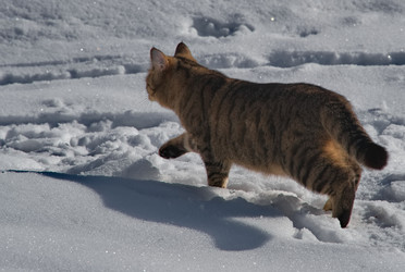 Similar image 22362654