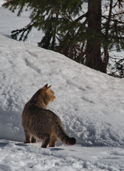 Similar image 22362655