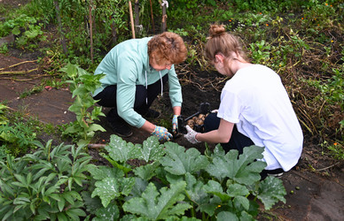 Similar image 22358982