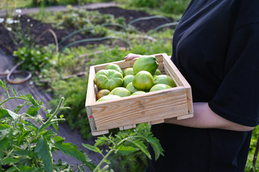 Similar image 22358984