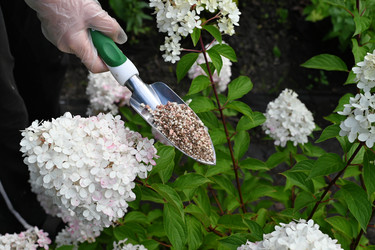 Similar image 22358987