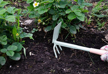 Similar image 22358990