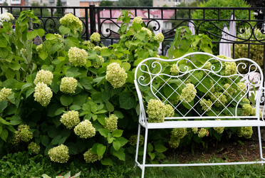 Similar image 22358993