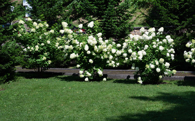 Similar image 22358995