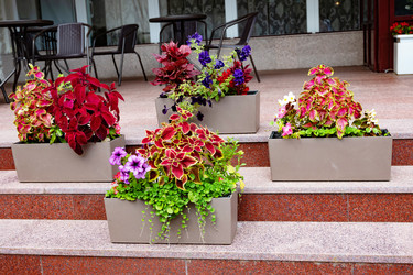 Similar image 22358998