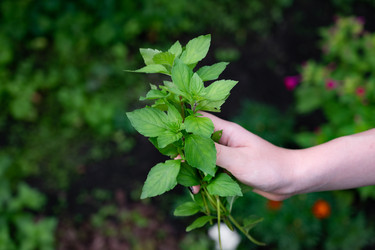 Similar image 22359001