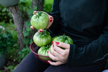 Similar image 22359004