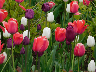 Similar image 22358755