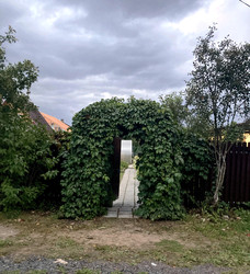 Similar image 22357427