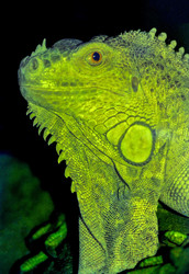 Similar image 22373465