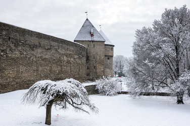 Similar image 22365355