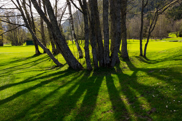 Similar image 22365443