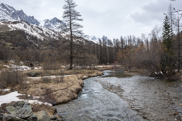 Similar image 22365519