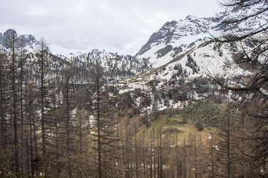 Similar image 22365520