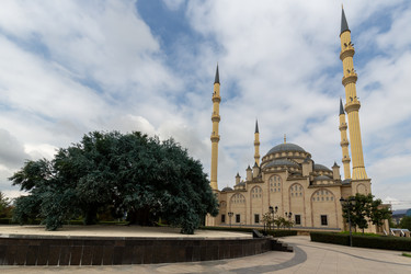 Similar image 22372011