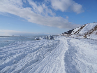 Similar image 22357099