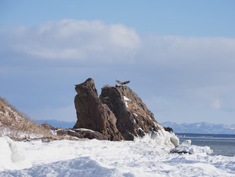 Similar image 22357107