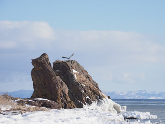 Similar image 22357108