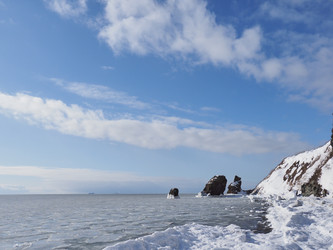 Similar image 22357119