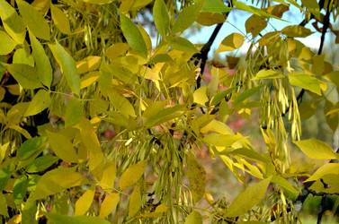 Similar image 22372797