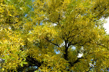 Similar image 22372798